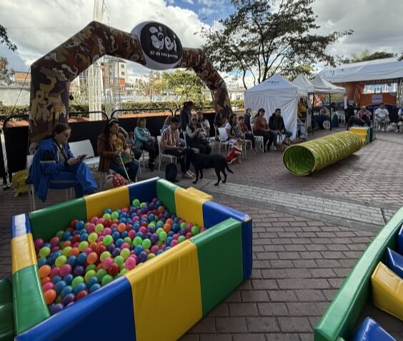 Eventos y marcas_Jei el de los perros_2