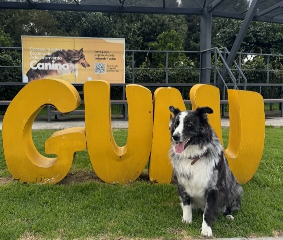 Eventos y marcas_Jei el de los perros_3