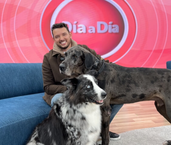 Eventos y marcas_Jei el de los perros_4