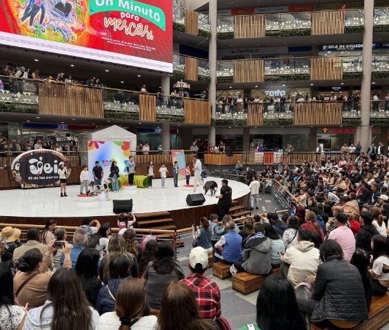 Eventos y marcas_Jei el de los perros_6
